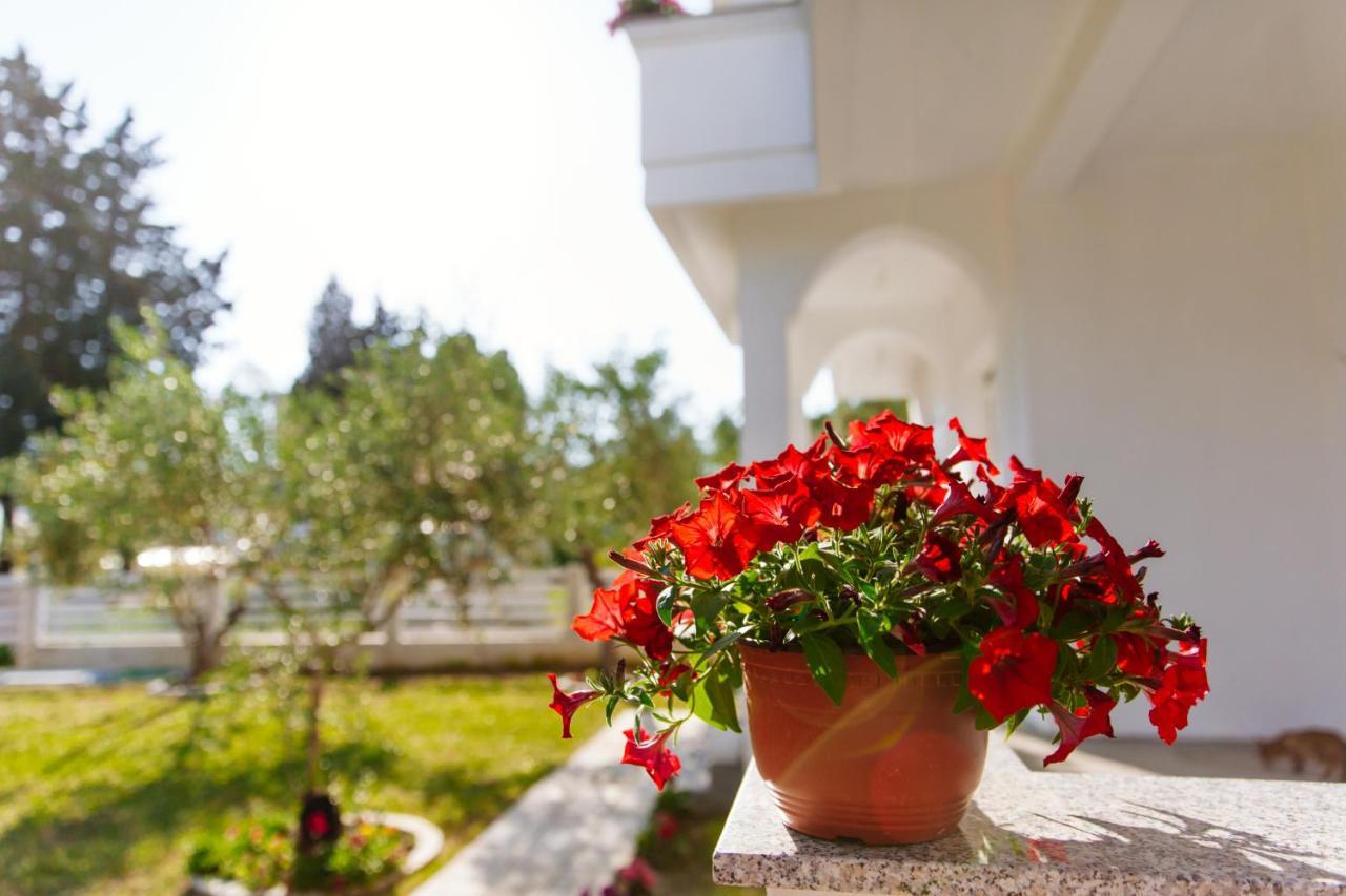 Apartments Hoxha Ulcinj Exteriér fotografie